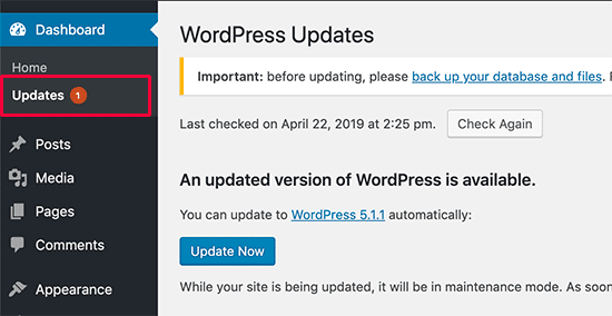 Página de atualizações do WordPress