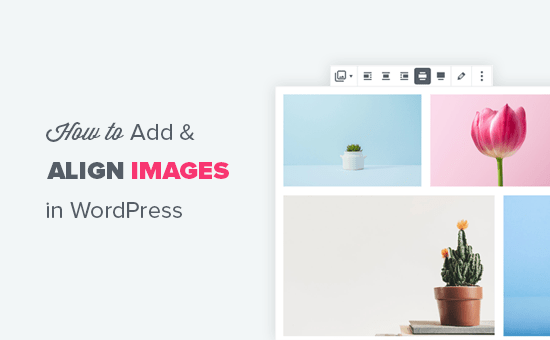 Adicionando e alinhando corretamente imagens no WordPress