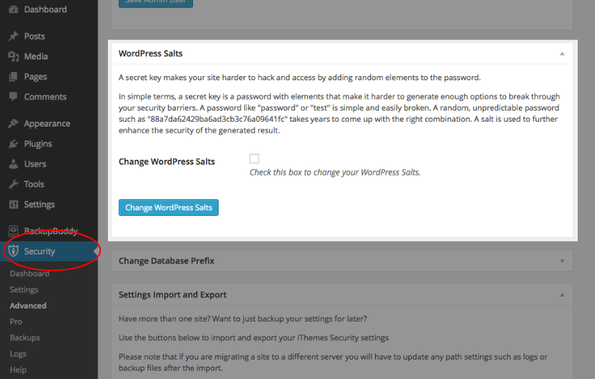 Sais iThemes WordPress