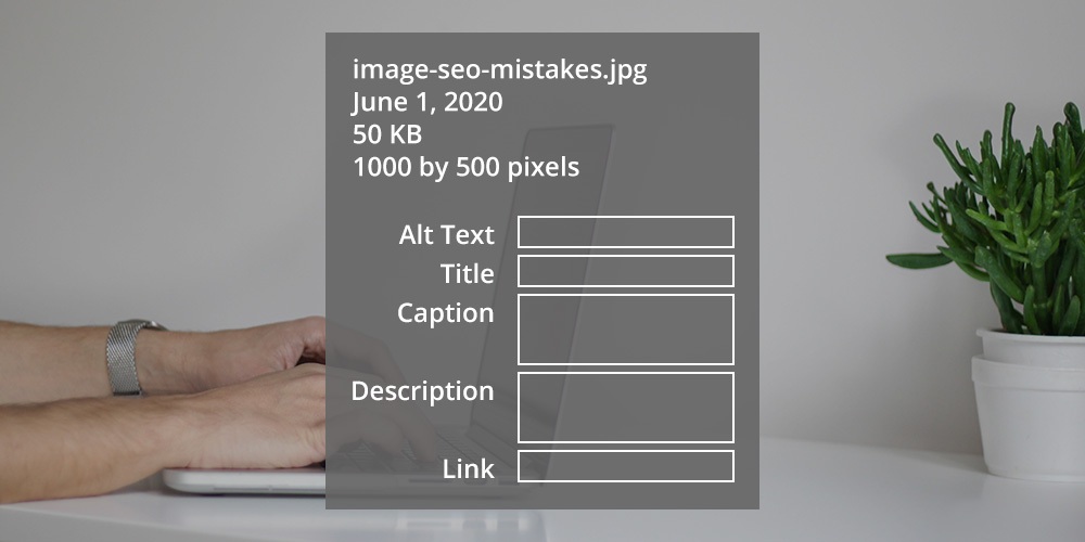 Erros comuns de SEO de imagem do WordPress