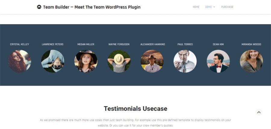 Team Builder - Conheça o plugin WordPress Team Premium
