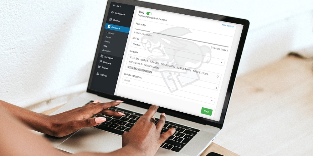 Coelho social: automatize seu marketing de mídia social