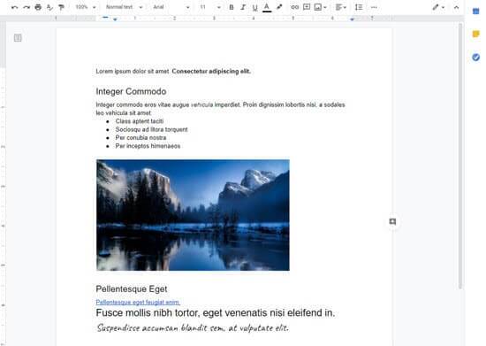 O Google Doc com o texto que vamos copiar