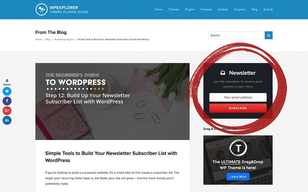 Formulário de inscrição no boletim informativo WPExplorer