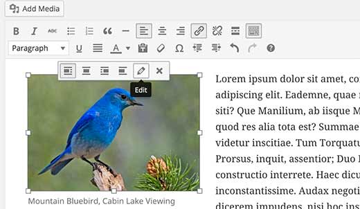Editando uma imagem no WordPress