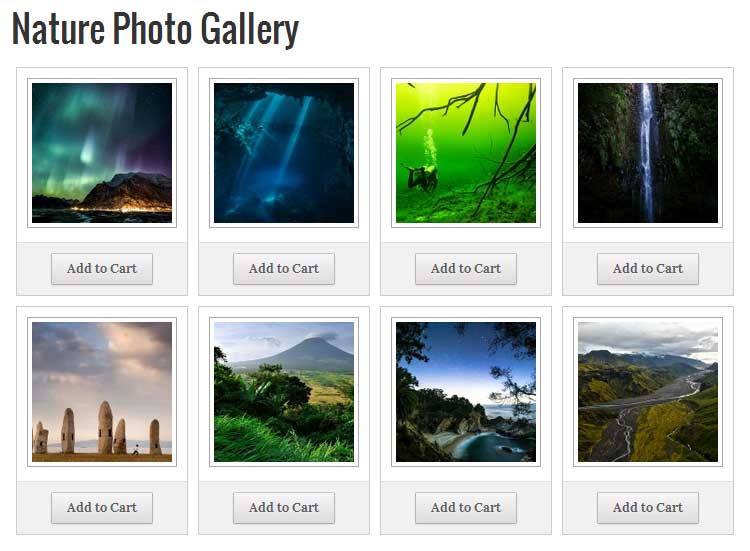 Vender Exemplo de Galeria de Fotos