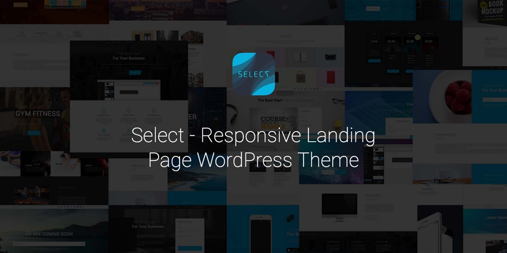 Selecionar - Tema WordPress de página de destino responsivo