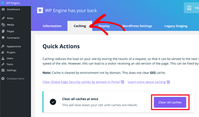 Limpar cache do WP Engine