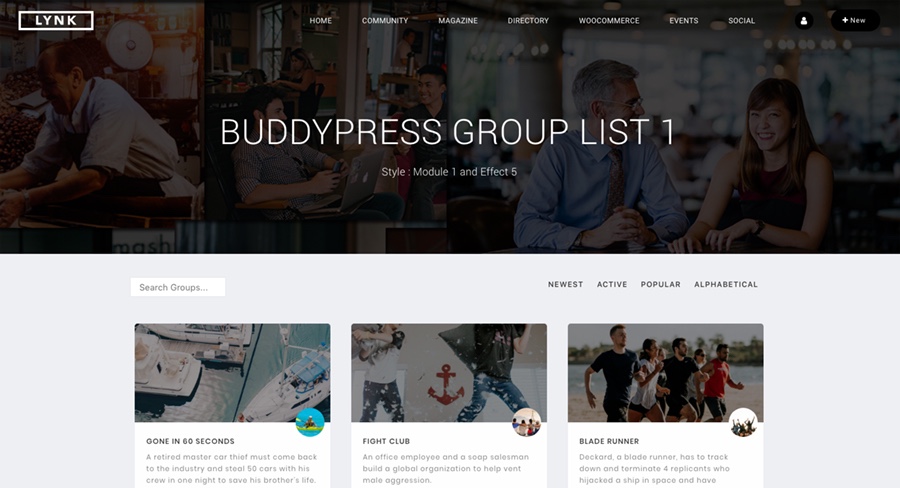 Lynk Social Networking & Community WordPress Tema