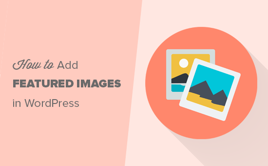 Adicionando imagens em destaque no WordPress
