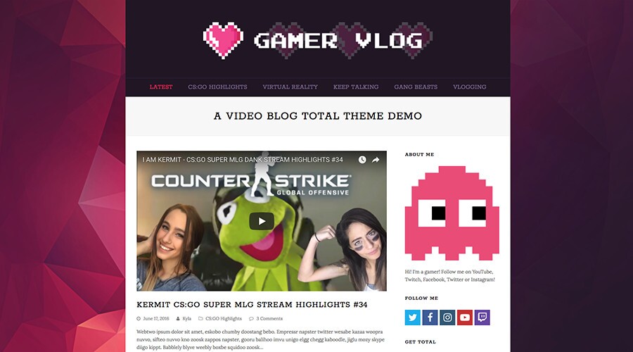 Total WordPress Tema Vlog