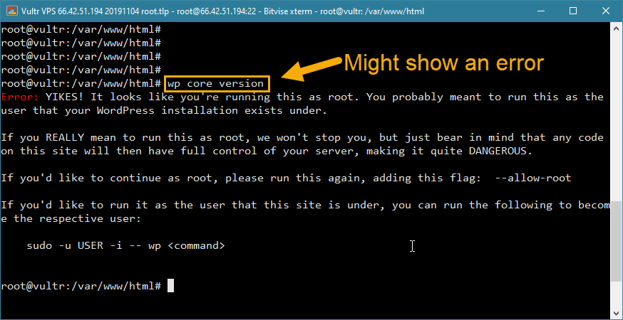 wp-cli erro de acesso root wordpress vps