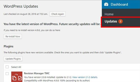 Página de atualizações do WordPress