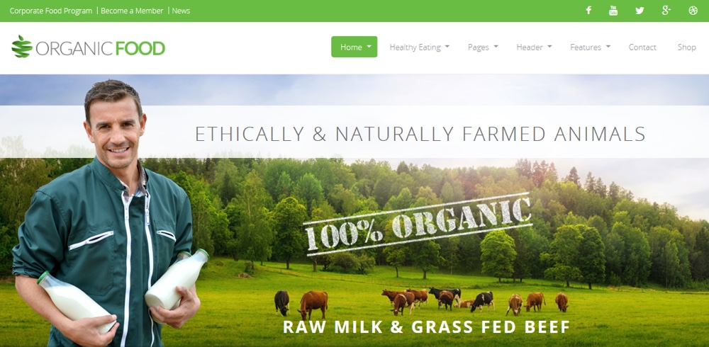 Tema WordPress Eco de Alimentos Orgânicos