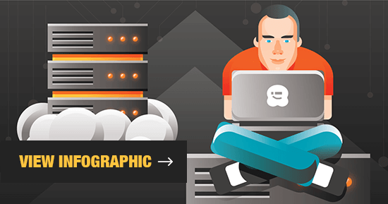 Visualização do Infográfico de Hospedagem WordPress