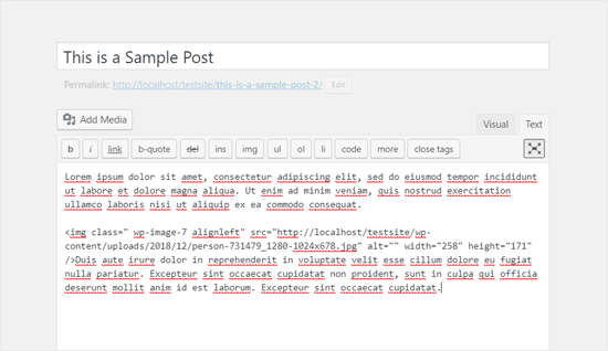 Editor clássico do WordPress em tela cheia no modo de texto
