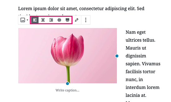 Botões de alinhamento de imagem no editor de postagem do WordPress