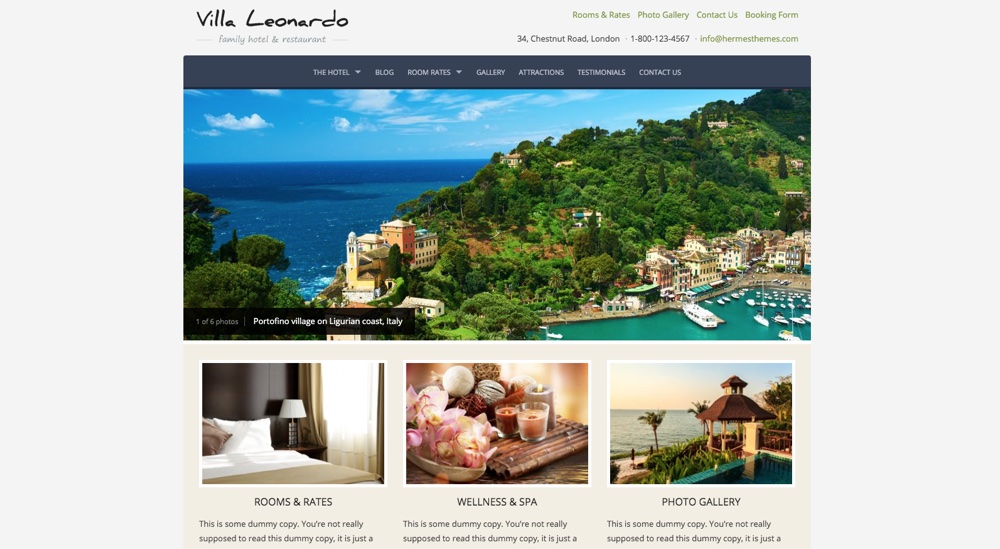 Tema WordPress Leonardo