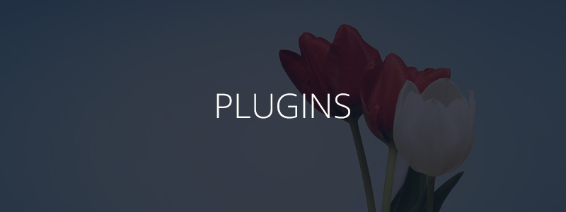4-julho-descontos-plugins