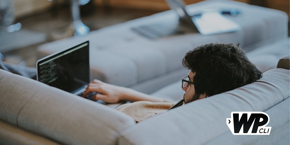 Como instalar vários plugins em massa no WordPress usando WP-CLI