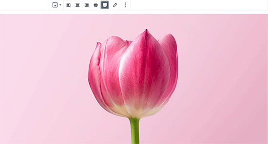 Fazendo uma imagem de largura total no WordPress