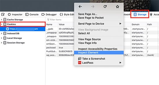 Visualizando cookies definidos pelo WordPress usando o Firefox