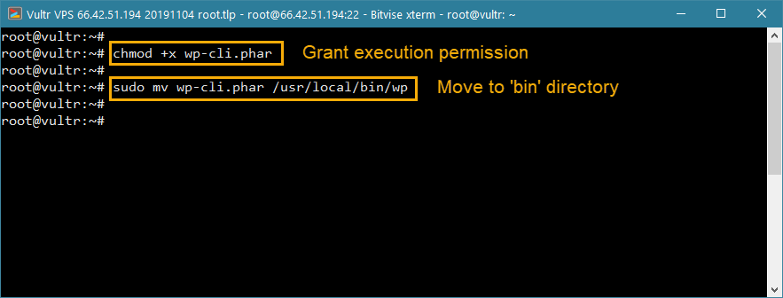 instale wp-cli wordpress vps - mova para bin e permissão exec