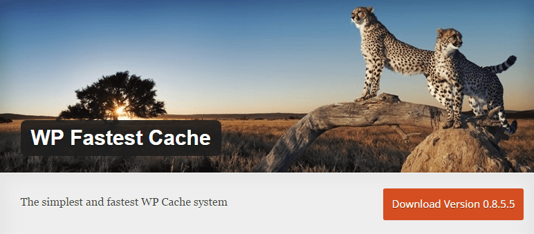 Cache mais rápido do WP