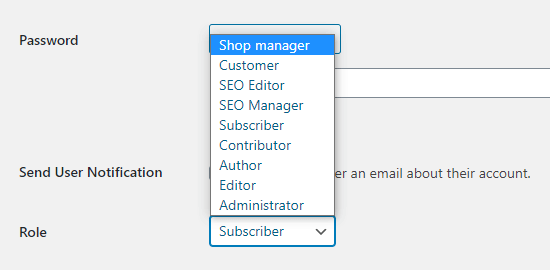 Funções de usuário adicionais criadas pelo WooCommerce e All in One SEO