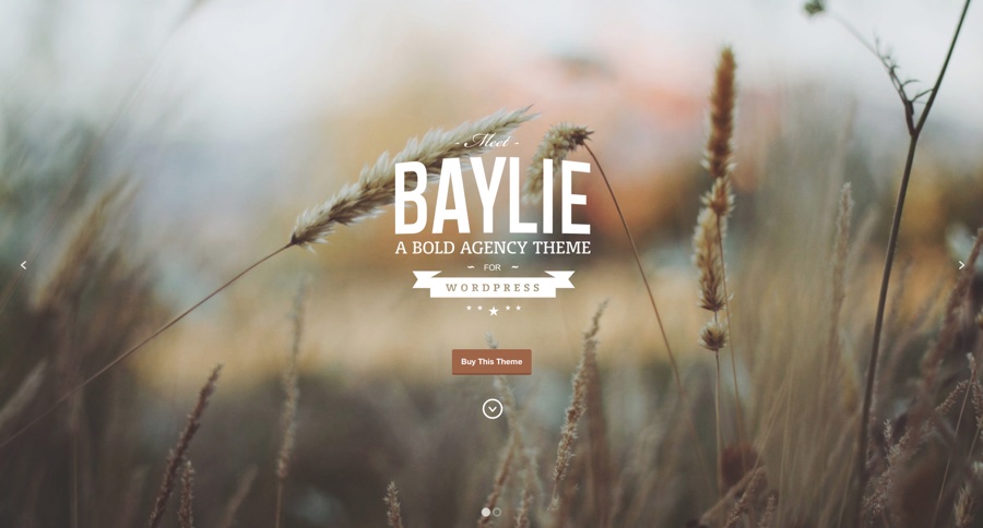 Tema WordPress Baylie
