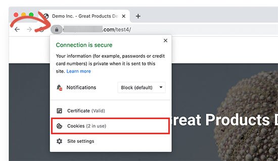 Visualizando cookies armazenados no Google Chrome