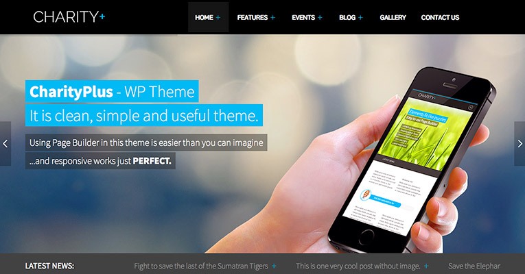caridade-mais-wordpress-tema