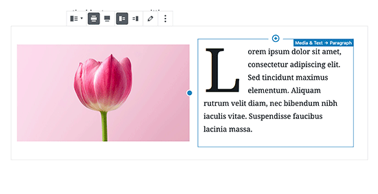 Configurações de imagem e bloco de texto