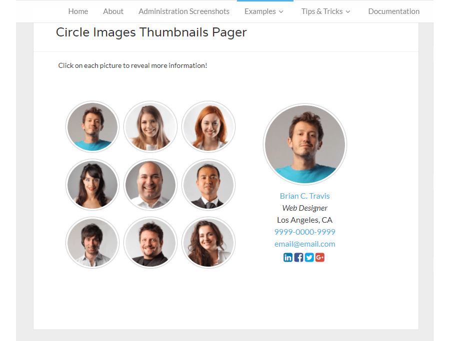 Plugin WordPress Premium do Team Showcase