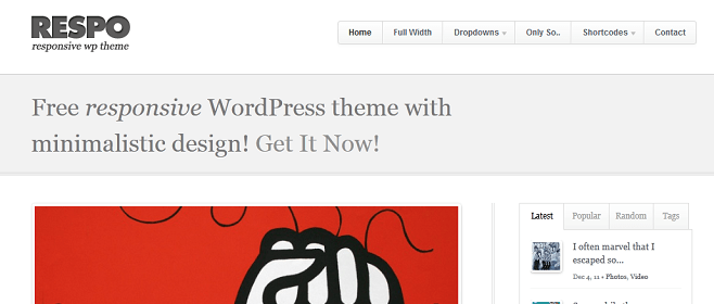 Respo WordPress Tema