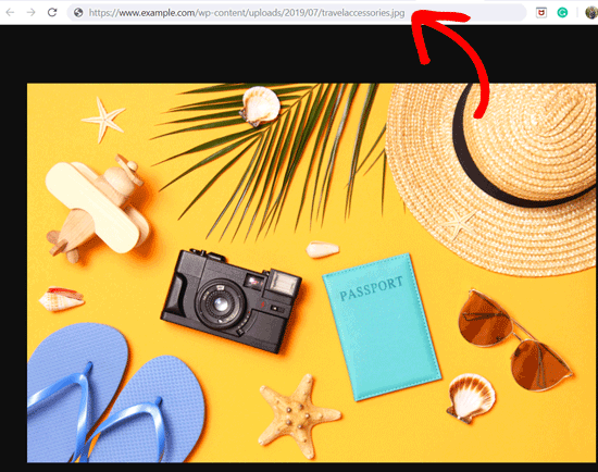 Obtenha o URL das Imagens no WordPress