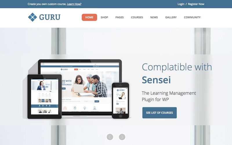 guru-educação-tema