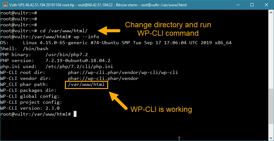 instalar wp-cli wordpress vps verificação de instalação funcionando