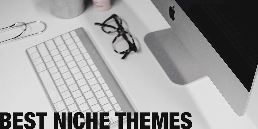 10+ Melhores Temas WordPress de Nicho Profissional