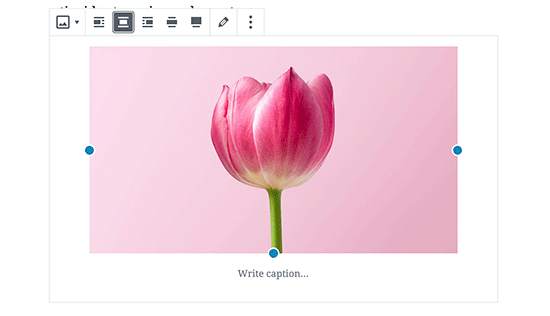 Centralizar uma imagem no WordPress