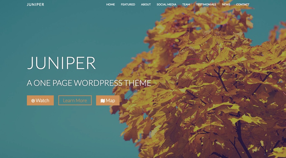 Tema WordPress Junípero