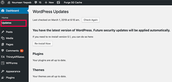 Mantendo o WordPress atualizado
