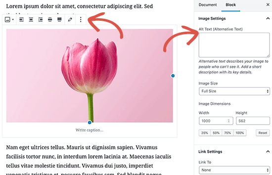 Opções de imagem no editor de postagem do WordPress