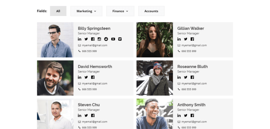 Modern Team Showcase Premium WordPress Plugin