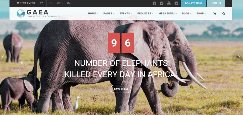 Tema Gaea Eco WordPress