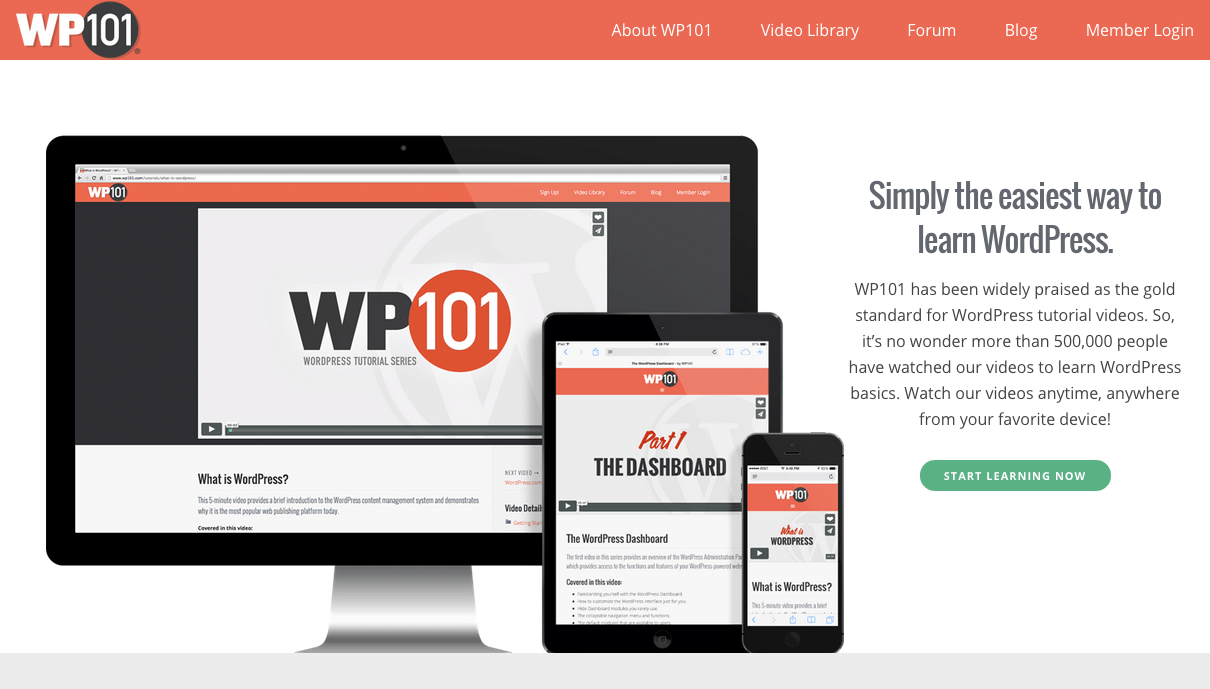 WP 101