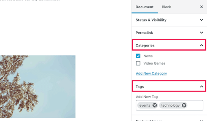 Adicionando categorias e tags