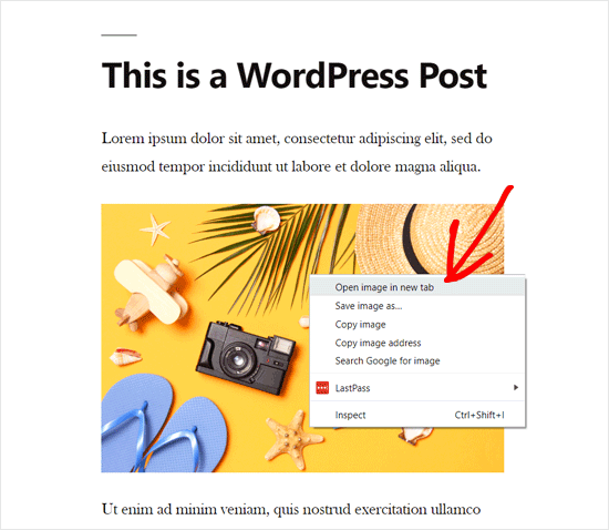 Abra a imagem do WordPress em uma nova guia