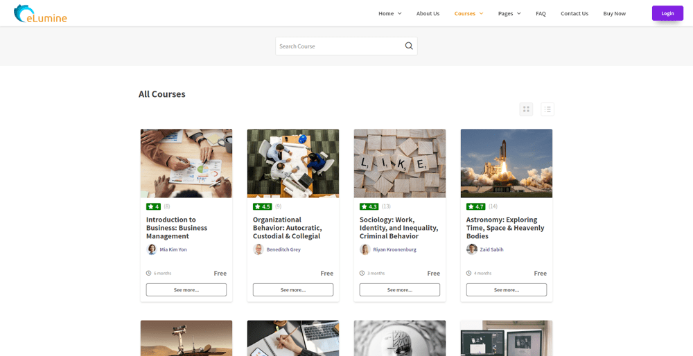 Tema WordPress eLumine